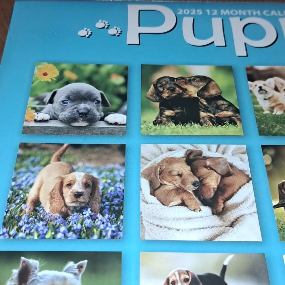 Puppy 2025 calendar/ BUNDLE ONLY 2or more items